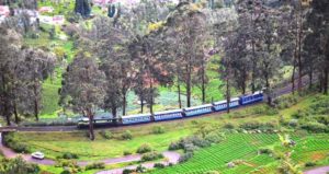 places to visit in ooty