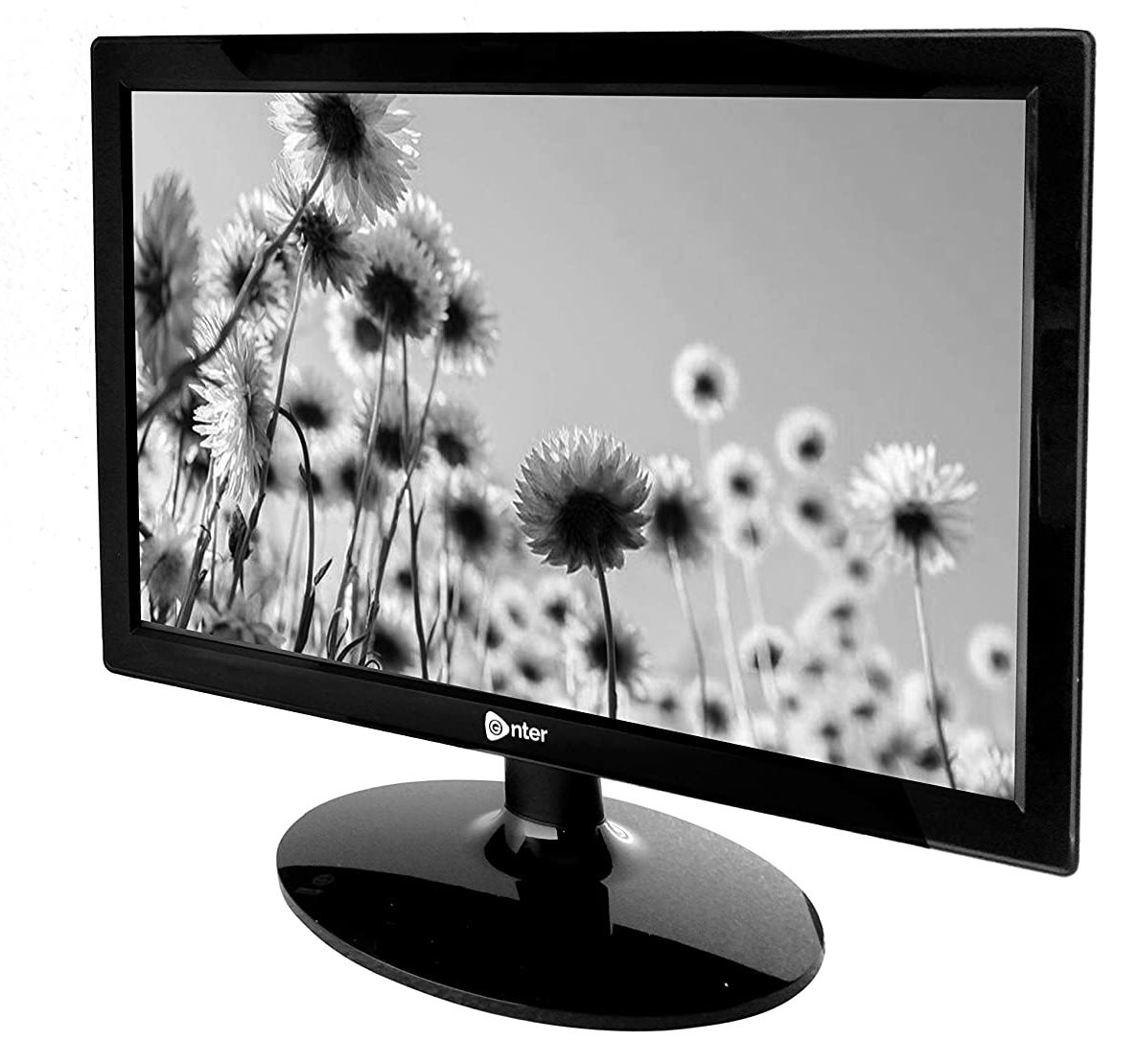 Enter HD LED Backlit Monitor with HDMI & VGA